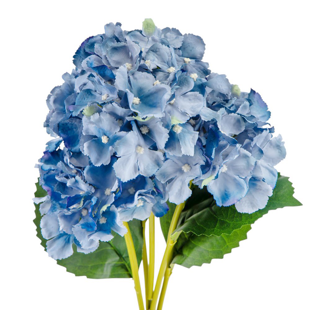 ФОТО КАРТИНКИ ЗОБРАЖЕННЯ Букет гортензій, 5 бутонів, синій, 52 см BOHODAR 9207-022 РОЗДРІБ ОПТ ГУРТ ГУРТОМ ОПТОМ! З ЄВРОПИ! ЯКІСТЬ! Купити Львів Характеристики Ціна Оплата Доставка "БОГОДАР" ІНТЕРНЕТ-МАГАЗИН Огляд Рейтинг Порівняння Як вибрати Якісний