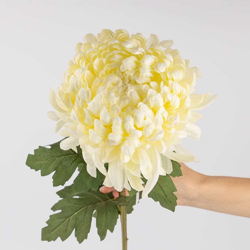 ФОТО КАРТИНКИ ЗОБРАЖЕННЯ Штучна хризантема, біла, 91 см BOHODAR 2019-012 РОЗДРІБ ОПТ ГУРТ ГУРТОМ ОПТОМ! З ЄВРОПИ! ЯКІСТЬ! Купити Львів Характеристики Ціна Оплата Доставка "БОГОДАР" ІНТЕРНЕТ-МАГАЗИН Огляд Рейтинг Порівняння Як вибрати Якісний