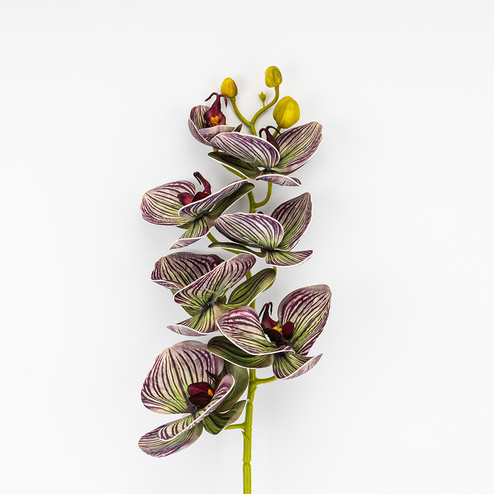 ФОТО КАРТИНКИ ЗОБРАЖЕННЯ Латексна орхідея, зелено-бордова, 76 см ВРЯТОВАНА ПОЗИЦІЯ BOHODAR 9259-084 РОЗДРІБ ОПТ ГУРТ ГУРТОМ ОПТОМ! З ЄВРОПИ! ЯКІСТЬ! Купити Львів Характеристики Ціна Оплата Доставка "БОГОДАР" ІНТЕРНЕТ-МАГАЗИН Огляд Рейтинг Порівняння Як вибрати Якісний