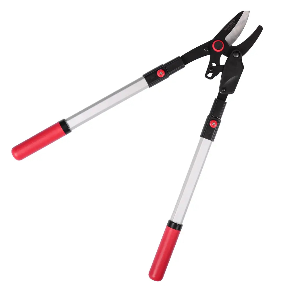 ФОТО КАРТИНКИ ЗОБРАЖЕННЯ Гілкоріз телескопічний з храповим механізмом VITALS MASTER LS-910-02RT : діаметр різу 40 мм, довжина 630-910 мм, вага 1.540 кг РОЗДРІБ ОПТ ГУРТ ГУРТОМ ОПТОМ! З ЄВРОПИ! ЯКІСТЬ! Купити Львів Характеристики Ціна Оплата Доставка "БОГОДАР" ІНТЕРНЕТ-МАГАЗИН Огляд Рейтинг Порівняння Як вибрати Якісний