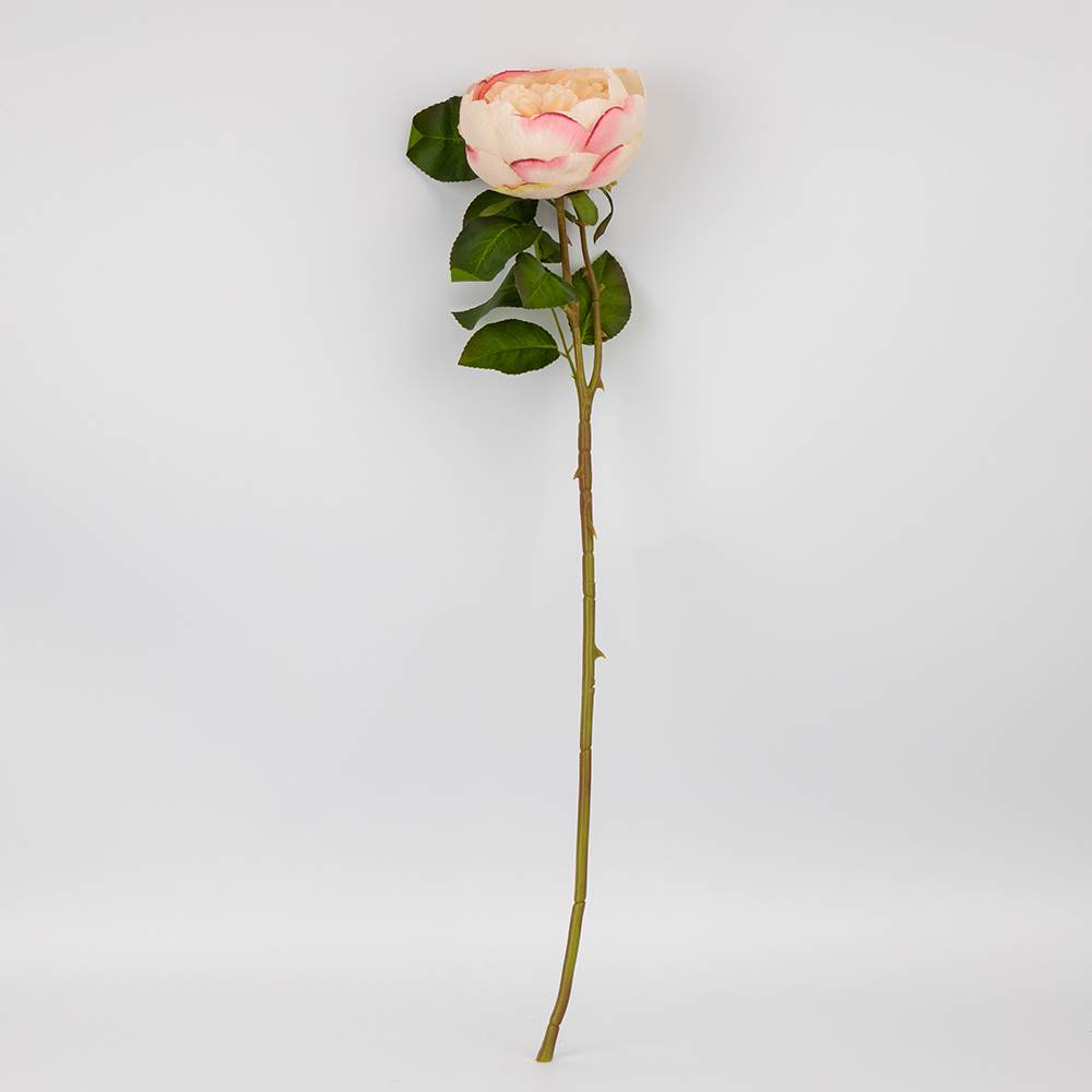 ФОТО КАРТИНКИ ЗОБРАЖЕННЯ Троянда піоновидна, ніжно-рожева, 61 см BOHODAR 2026-018/pink РОЗДРІБ ОПТ ГУРТ ГУРТОМ ОПТОМ! З ЄВРОПИ! ЯКІСТЬ! Купити Львів Характеристики Ціна Оплата Доставка "БОГОДАР" ІНТЕРНЕТ-МАГАЗИН Огляд Рейтинг Порівняння Як вибрати Якісний