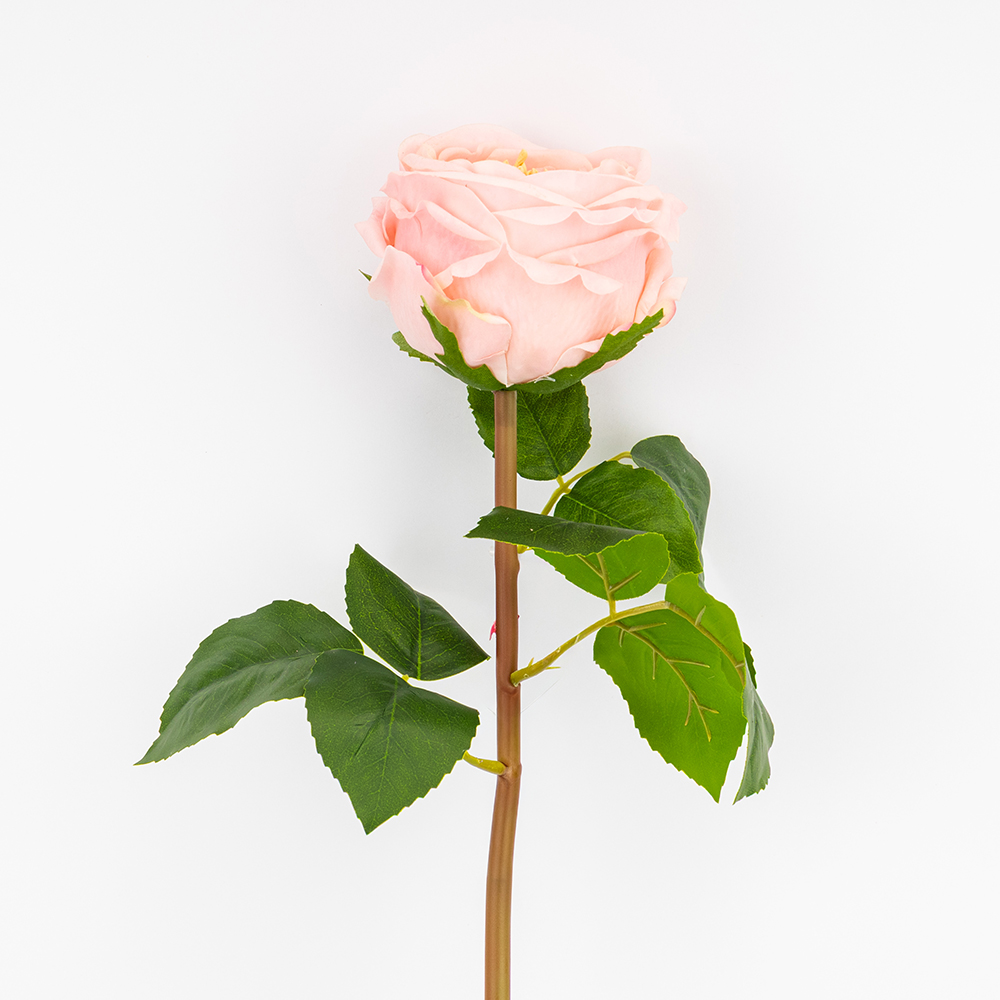 ФОТО КАРТИНКИ ЗОБРАЖЕННЯ Штучна піоновидна троянда з ефектом живого дотику, пудрова, 53 см BOHODAR 2025-027 РОЗДРІБ ОПТ ГУРТ ГУРТОМ ОПТОМ! З ЄВРОПИ! ЯКІСТЬ! Купити Львів Характеристики Ціна Оплата Доставка "БОГОДАР" ІНТЕРНЕТ-МАГАЗИН Огляд Рейтинг Порівняння Як вибрати Якісний