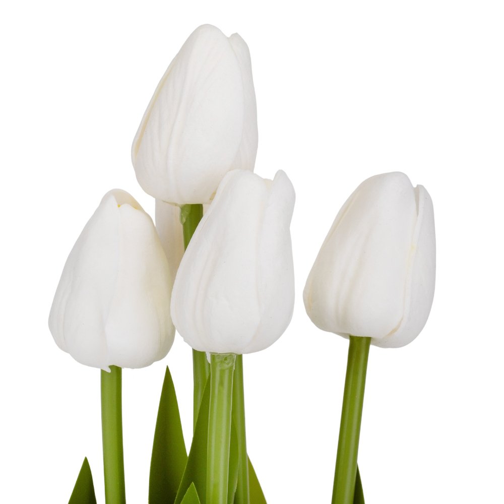 ФОТО КАРТИНКИ ЗОБРАЖЕННЯ Букет тюльпанів "Рапсодія", білий, 25,5 см BOHODAR 9129-015 РОЗДРІБ ОПТ ГУРТ ГУРТОМ ОПТОМ! З ЄВРОПИ! ЯКІСТЬ! Купити Львів Характеристики Ціна Оплата Доставка "БОГОДАР" ІНТЕРНЕТ-МАГАЗИН Огляд Рейтинг Порівняння Як вибрати Якісний