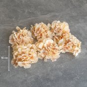 ФОТО КАРТИНКИ ЗОБРАЖЕННЯ Головка гортензії, бежева, 16 см BOHODAR 9222-006 РОЗДРІБ ОПТ ГУРТ ГУРТОМ ОПТОМ! З ЄВРОПИ! ЯКІСТЬ! Купити Львів Характеристики Ціна Оплата Доставка "БОГОДАР" ІНТЕРНЕТ-МАГАЗИН Огляд Рейтинг Порівняння Як вибрати Якісний