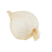 ФОТО КАРТИНКИ ЗОБРАЖЕННЯ Набір штучного часнику, 50 шт, білий, 3 cм 4SEASONS 9223-029 РОЗДРІБ ОПТ ГУРТ ГУРТОМ ОПТОМ! З ЄВРОПИ! ЯКІСТЬ! Купити Львів Характеристики Ціна Оплата Доставка "БОГОДАР" ІНТЕРНЕТ-МАГАЗИН Огляд Рейтинг Порівняння Як вибрати Якісний