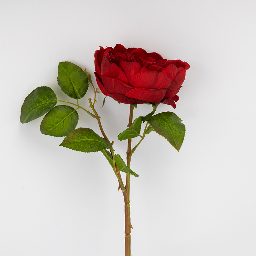 ФОТО КАРТИНКИ ЗОБРАЖЕННЯ Троянда піоновидна, червона, 61 см BOHODAR 2026-018/red РОЗДРІБ ОПТ ГУРТ ГУРТОМ ОПТОМ! З ЄВРОПИ! ЯКІСТЬ! Купити Львів Характеристики Ціна Оплата Доставка "БОГОДАР" ІНТЕРНЕТ-МАГАЗИН Огляд Рейтинг Порівняння Як вибрати Якісний