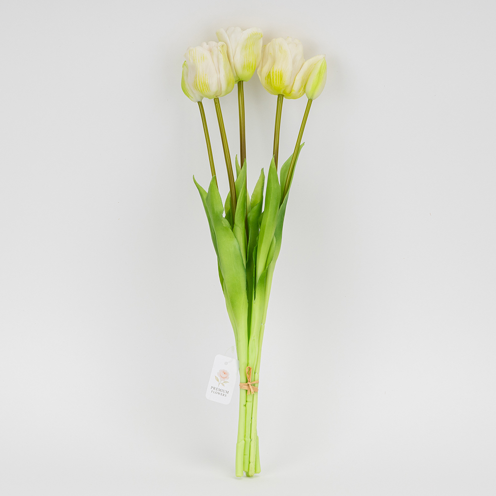 ФОТО КАРТИНКИ ЗОБРАЖЕННЯ Букет латексних тюльпанів, 5 бутонів, біло-зелений, 49 см BOHODAR 2026-005/white РОЗДРІБ ОПТ ГУРТ ГУРТОМ ОПТОМ! З ЄВРОПИ! ЯКІСТЬ! Купити Львів Характеристики Ціна Оплата Доставка "БОГОДАР" ІНТЕРНЕТ-МАГАЗИН Огляд Рейтинг Порівняння Як вибрати Якісний