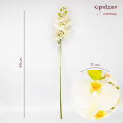 ФОТО КАРТИНКИ ЗОБРАЖЕННЯ Латексна орхідея, кремова, 86 см ВРЯТОВАНА ПОЗИЦІЯ BOHODAR 9259-105 РОЗДРІБ ОПТ ГУРТ ГУРТОМ ОПТОМ! З ЄВРОПИ! ЯКІСТЬ! Купити Львів Характеристики Ціна Оплата Доставка "БОГОДАР" ІНТЕРНЕТ-МАГАЗИН Огляд Рейтинг Порівняння Як вибрати Якісний