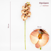 ФОТО КАРТИНКИ ЗОБРАЖЕННЯ Латексна орхідея, кремово-рожева, 76 см ВРЯТОВАНА ПОЗИЦІЯ BOHODAR 9259-086 РОЗДРІБ ОПТ ГУРТ ГУРТОМ ОПТОМ! З ЄВРОПИ! ЯКІСТЬ! Купити Львів Характеристики Ціна Оплата Доставка "БОГОДАР" ІНТЕРНЕТ-МАГАЗИН Огляд Рейтинг Порівняння Як вибрати Якісний