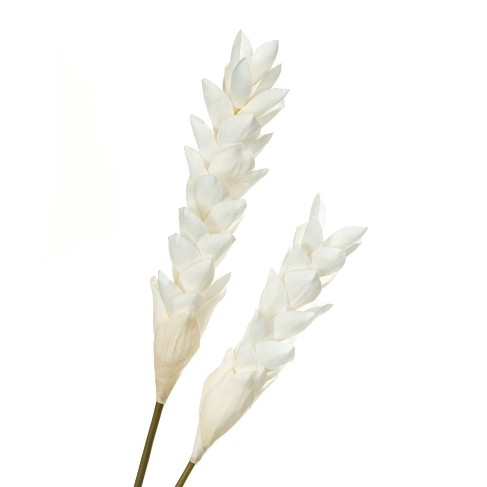 ФОТО КАРТИНКИ ЗОБРАЖЕННЯ Гілка декоративна, біла BOHODAR 8725-038 РОЗДРІБ ОПТ ГУРТ ГУРТОМ ОПТОМ! З ЄВРОПИ! ЯКІСТЬ! Купити Львів Характеристики Ціна Оплата Доставка "БОГОДАР" ІНТЕРНЕТ-МАГАЗИН Огляд Рейтинг Порівняння Як вибрати Якісний