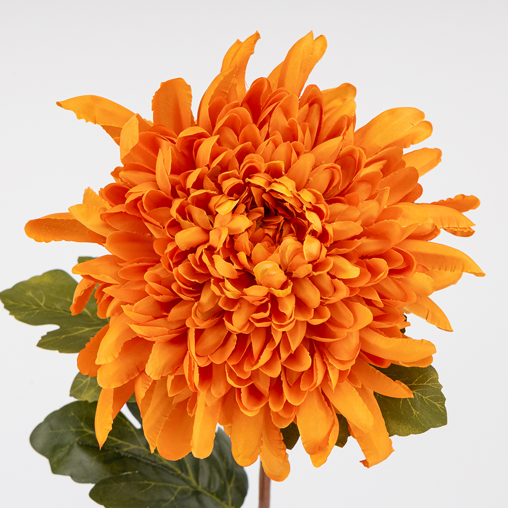 ФОТО КАРТИНКИ ЗОБРАЖЕННЯ Штучна хризантема, помаранчева, 75 см BOHODAR 2026-012/orange РОЗДРІБ ОПТ ГУРТ ГУРТОМ ОПТОМ! З ЄВРОПИ! ЯКІСТЬ! Купити Львів Характеристики Ціна Оплата Доставка "БОГОДАР" ІНТЕРНЕТ-МАГАЗИН Огляд Рейтинг Порівняння Як вибрати Якісний
