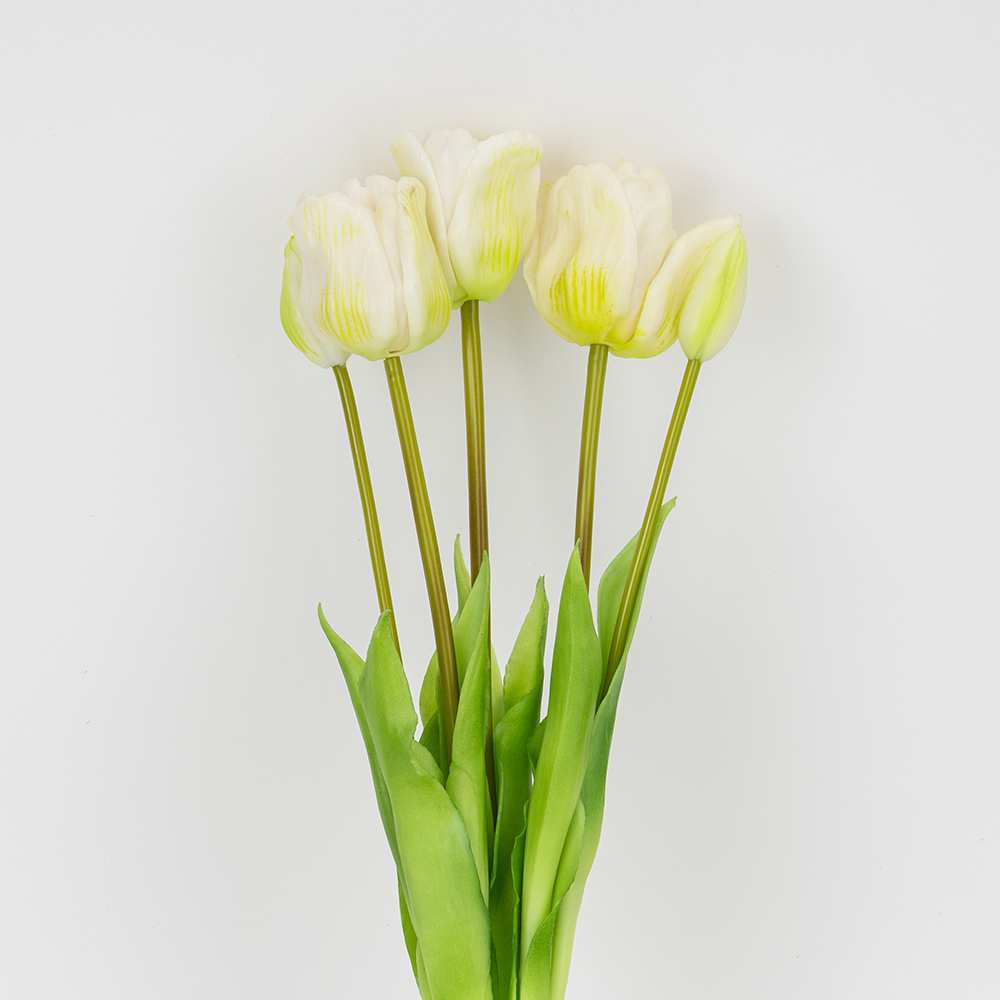 ФОТО КАРТИНКИ ЗОБРАЖЕННЯ Букет латексних тюльпанів, 5 бутонів, біло-зелений, 49 см BOHODAR 2026-005/white РОЗДРІБ ОПТ ГУРТ ГУРТОМ ОПТОМ! З ЄВРОПИ! ЯКІСТЬ! Купити Львів Характеристики Ціна Оплата Доставка "БОГОДАР" ІНТЕРНЕТ-МАГАЗИН Огляд Рейтинг Порівняння Як вибрати Якісний