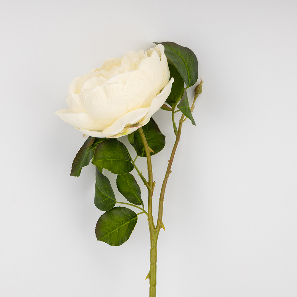 ФОТО КАРТИНКИ ЗОБРАЖЕННЯ Троянда піоновидна, кремова, 61 см BOHODAR 2026-018/cream РОЗДРІБ ОПТ ГУРТ ГУРТОМ ОПТОМ! З ЄВРОПИ! ЯКІСТЬ! Купити Львів Характеристики Ціна Оплата Доставка "БОГОДАР" ІНТЕРНЕТ-МАГАЗИН Огляд Рейтинг Порівняння Як вибрати Якісний