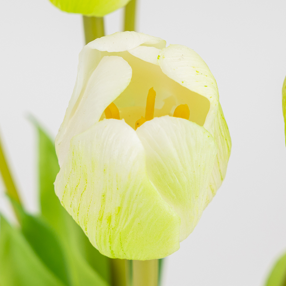 ФОТО КАРТИНКИ ЗОБРАЖЕННЯ Букет латексних тюльпанів, 7 бутонів, біло-зелений, 48 см BOHODAR 2026-003/white РОЗДРІБ ОПТ ГУРТ ГУРТОМ ОПТОМ! З ЄВРОПИ! ЯКІСТЬ! Купити Львів Характеристики Ціна Оплата Доставка "БОГОДАР" ІНТЕРНЕТ-МАГАЗИН Огляд Рейтинг Порівняння Як вибрати Якісний