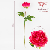 ФОТО КАРТИНКИ ЗОБРАЖЕННЯ Штучна півонія з ефектом живого дотику, кремово-рожева, 60 см BOHODAR 2025-006 РОЗДРІБ ОПТ ГУРТ ГУРТОМ ОПТОМ! З ЄВРОПИ! ЯКІСТЬ! Купити Львів Характеристики Ціна Оплата Доставка "БОГОДАР" ІНТЕРНЕТ-МАГАЗИН Огляд Рейтинг Порівняння Як вибрати Якісний