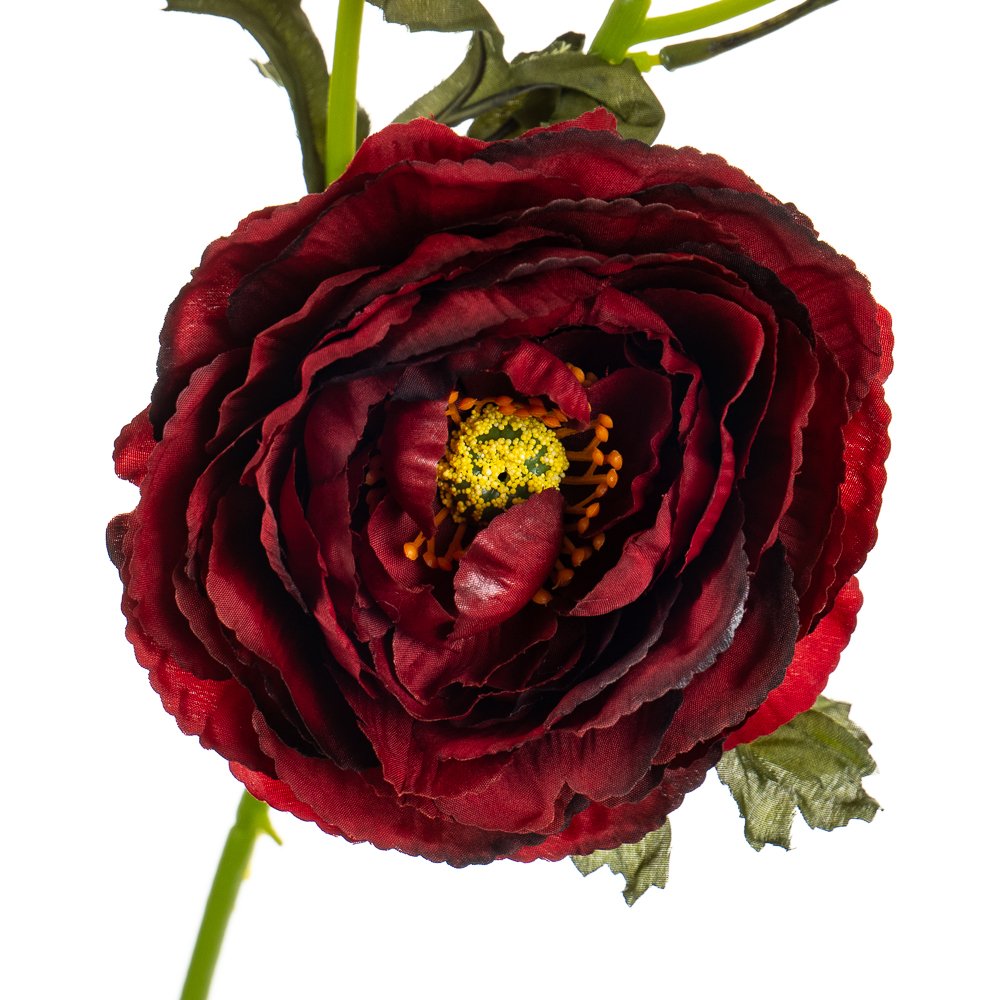 ФОТО КАРТИНКИ ЗОБРАЖЕННЯ Букет штучний "Ранункулюс", бордовий BOHODAR 8114-020 РОЗДРІБ ОПТ ГУРТ ГУРТОМ ОПТОМ! З ЄВРОПИ! ЯКІСТЬ! Купити Львів Характеристики Ціна Оплата Доставка "БОГОДАР" ІНТЕРНЕТ-МАГАЗИН Огляд Рейтинг Порівняння Як вибрати Якісний