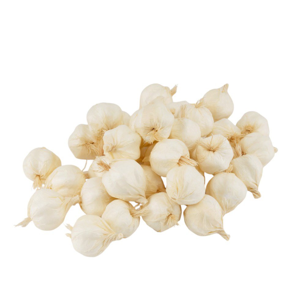 ФОТО КАРТИНКИ ЗОБРАЖЕННЯ Набір штучного часнику, 50 шт, білий, 3 cм 4SEASONS 9223-029 РОЗДРІБ ОПТ ГУРТ ГУРТОМ ОПТОМ! З ЄВРОПИ! ЯКІСТЬ! Купити Львів Характеристики Ціна Оплата Доставка "БОГОДАР" ІНТЕРНЕТ-МАГАЗИН Огляд Рейтинг Порівняння Як вибрати Якісний