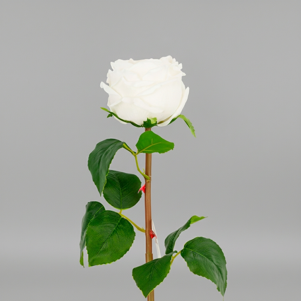 ФОТО КАРТИНКИ ЗОБРАЖЕННЯ Штучна піоновидна троянда з ефектом живого дотику, біла, 53 см BOHODAR 2025-026 РОЗДРІБ ОПТ ГУРТ ГУРТОМ ОПТОМ! З ЄВРОПИ! ЯКІСТЬ! Купити Львів Характеристики Ціна Оплата Доставка "БОГОДАР" ІНТЕРНЕТ-МАГАЗИН Огляд Рейтинг Порівняння Як вибрати Якісний