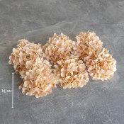 ФОТО КАРТИНКИ ЗОБРАЖЕННЯ Головка гортензії дрібноквіткової, бежева, 14 см BOHODAR 9222-013 РОЗДРІБ ОПТ ГУРТ ГУРТОМ ОПТОМ! З ЄВРОПИ! ЯКІСТЬ! Купити Львів Характеристики Ціна Оплата Доставка "БОГОДАР" ІНТЕРНЕТ-МАГАЗИН Огляд Рейтинг Порівняння Як вибрати Якісний