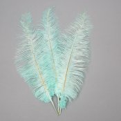ФОТО КАРТИНКИ ЗОБРАЖЕННЯ Страусине перо 55 см бірюзовий BOHODAR 8501-001/turguoise РОЗДРІБ ОПТ ГУРТ ГУРТОМ ОПТОМ! З ЄВРОПИ! ЯКІСТЬ! Купити Львів Характеристики Ціна Оплата Доставка "БОГОДАР" ІНТЕРНЕТ-МАГАЗИН Огляд Рейтинг Порівняння Як вибрати Якісний
