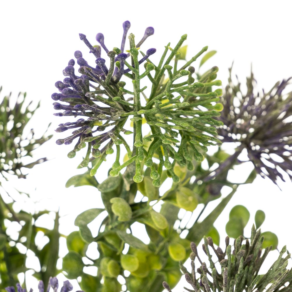 ФОТО КАРТИНКИ ЗОБРАЖЕННЯ Квітка Аліум фіолетовий BOHODAR 2001-011BL РОЗДРІБ ОПТ ГУРТ ГУРТОМ ОПТОМ! З ЄВРОПИ! ЯКІСТЬ! Купити Львів Характеристики Ціна Оплата Доставка "БОГОДАР" ІНТЕРНЕТ-МАГАЗИН Огляд Рейтинг Порівняння Як вибрати Якісний