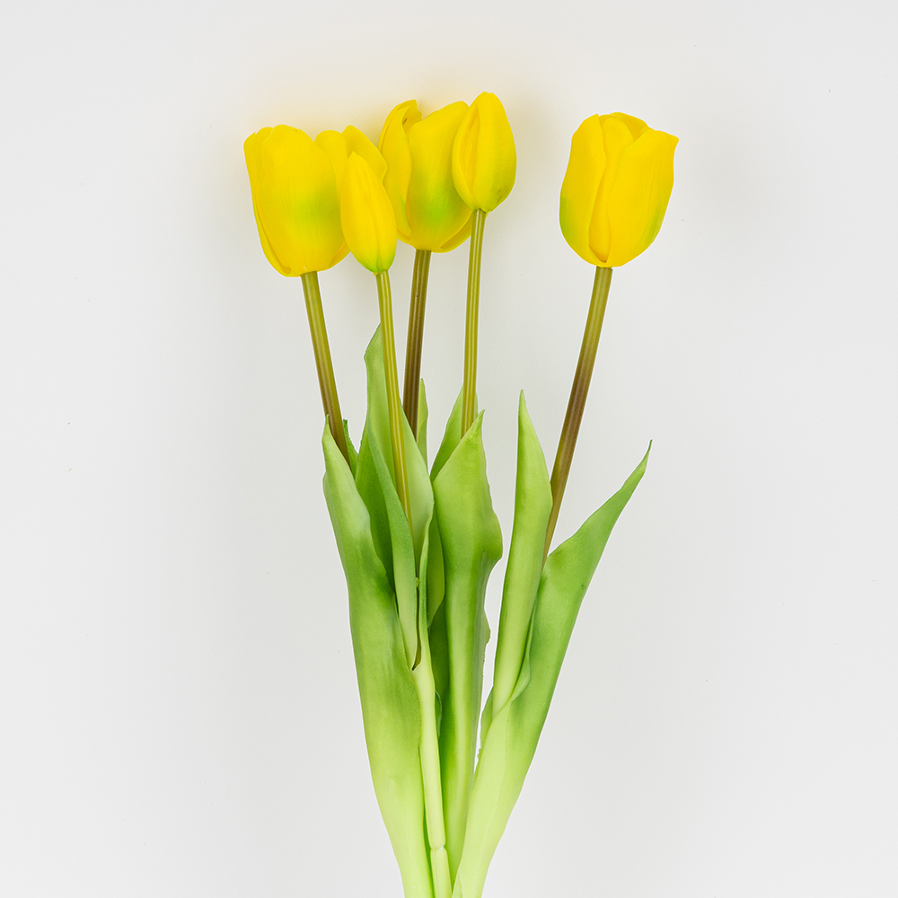 ФОТО КАРТИНКИ ЗОБРАЖЕННЯ Букет латексних тюльпанів, 5 бутонів, жовто-зелений, 45 см BOHODAR 2026-002/yellow РОЗДРІБ ОПТ ГУРТ ГУРТОМ ОПТОМ! З ЄВРОПИ! ЯКІСТЬ! Купити Львів Характеристики Ціна Оплата Доставка "БОГОДАР" ІНТЕРНЕТ-МАГАЗИН Огляд Рейтинг Порівняння Як вибрати Якісний