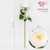 ФОТО КАРТИНКИ ЗОБРАЖЕННЯ Штучна піоновидна троянда з ефектом живого дотику, біла, 53 см BOHODAR 2025-026 РОЗДРІБ ОПТ ГУРТ ГУРТОМ ОПТОМ! З ЄВРОПИ! ЯКІСТЬ! Купити Львів Характеристики Ціна Оплата Доставка "БОГОДАР" ІНТЕРНЕТ-МАГАЗИН Огляд Рейтинг Порівняння Як вибрати Якісний