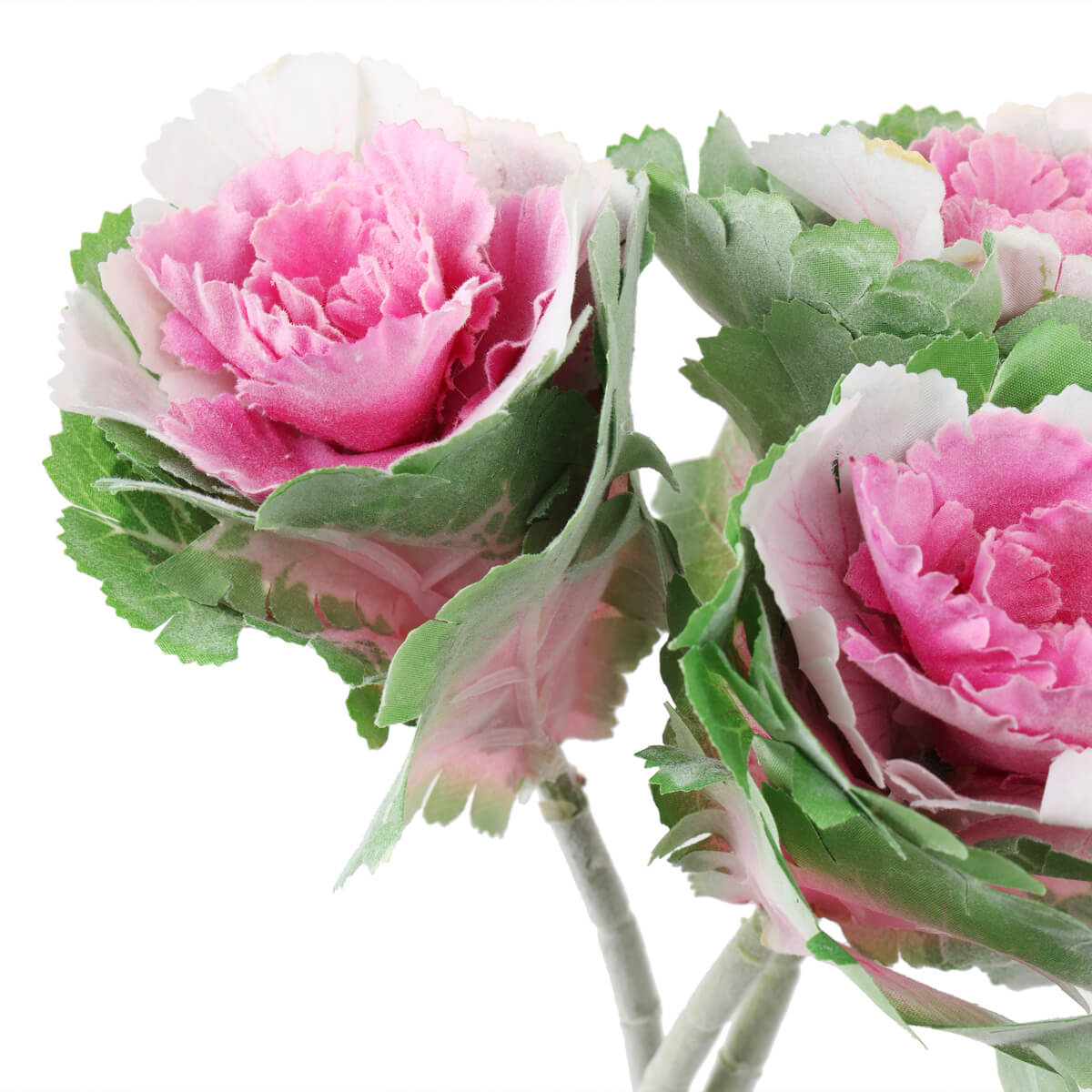 ФОТО КАРТИНКИ ЗОБРАЖЕННЯ Брасика "Грація", рожева BOHODAR 6018-081 РОЗДРІБ ОПТ ГУРТ ГУРТОМ ОПТОМ! З ЄВРОПИ! ЯКІСТЬ! Купити Львів Характеристики Ціна Оплата Доставка "БОГОДАР" ІНТЕРНЕТ-МАГАЗИН Огляд Рейтинг Порівняння Як вибрати Якісний