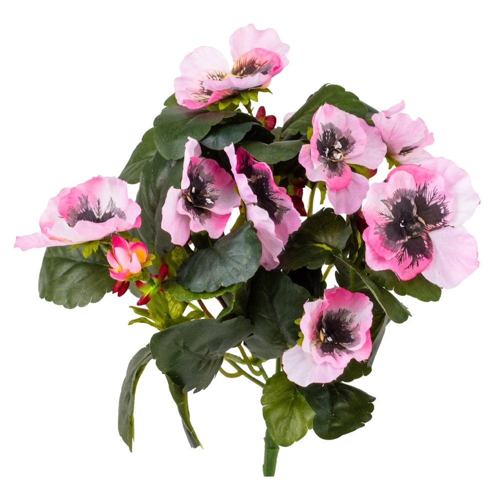 ФОТО КАРТИНКИ ЗОБРАЖЕННЯ Братки рожеві, 25 см BOHODAR 106F/pink РОЗДРІБ ОПТ ГУРТ ГУРТОМ ОПТОМ! З ЄВРОПИ! ЯКІСТЬ! Купити Львів Характеристики Ціна Оплата Доставка "БОГОДАР" ІНТЕРНЕТ-МАГАЗИН Огляд Рейтинг Порівняння Як вибрати Якісний