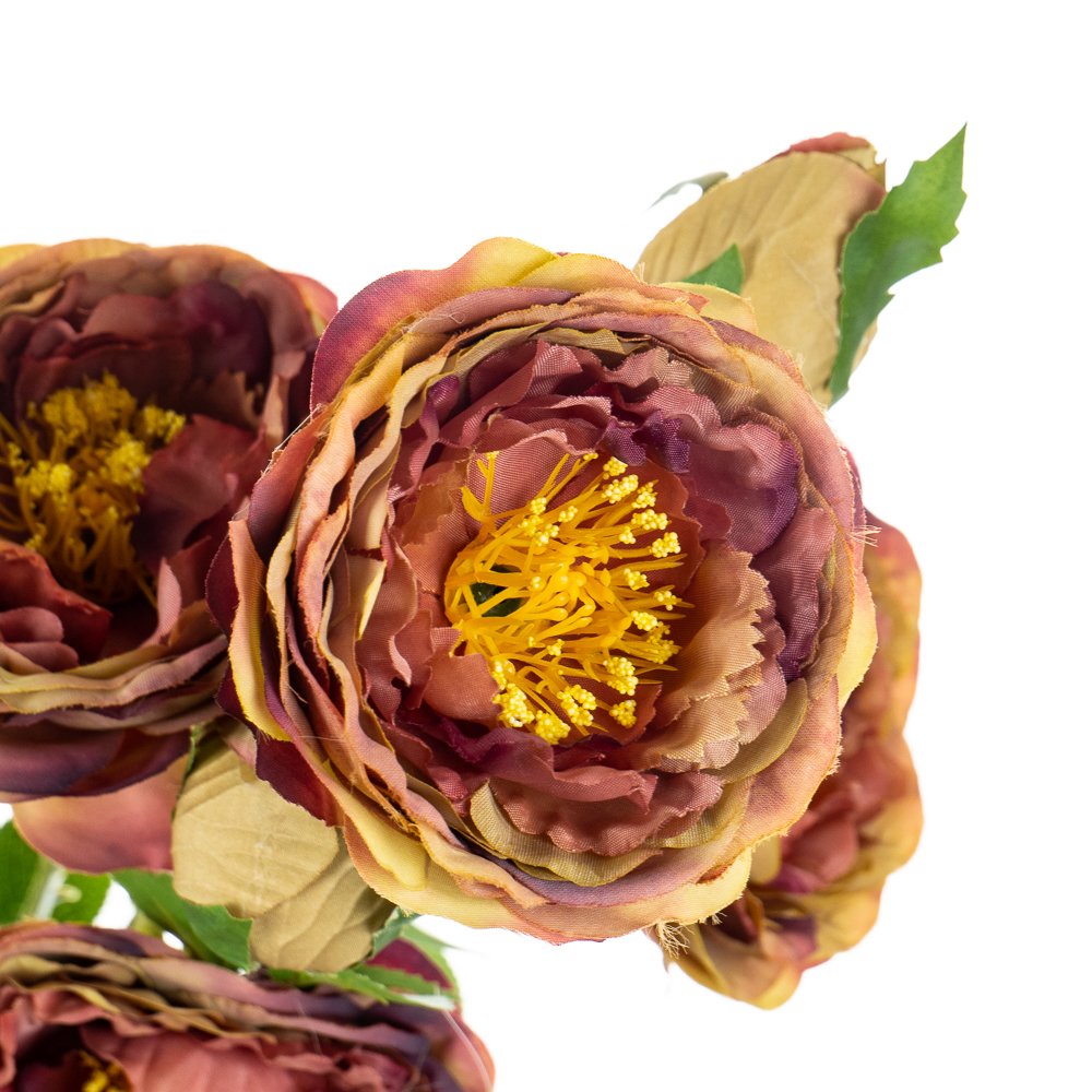 ФОТО КАРТИНКИ ЗОБРАЖЕННЯ Букет "Півонії польові", ніжно-рожевий BOHODAR 8114-007 РОЗДРІБ ОПТ ГУРТ ГУРТОМ ОПТОМ! З ЄВРОПИ! ЯКІСТЬ! Купити Львів Характеристики Ціна Оплата Доставка "БОГОДАР" ІНТЕРНЕТ-МАГАЗИН Огляд Рейтинг Порівняння Як вибрати Якісний