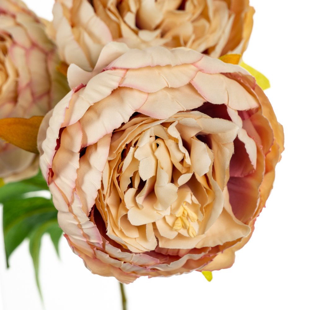 ФОТО КАРТИНКИ ЗОБРАЖЕННЯ Букет "Півонія з 3 бутонами", персиковий BOHODAR 8114-017 РОЗДРІБ ОПТ ГУРТ ГУРТОМ ОПТОМ! З ЄВРОПИ! ЯКІСТЬ! Купити Львів Характеристики Ціна Оплата Доставка "БОГОДАР" ІНТЕРНЕТ-МАГАЗИН Огляд Рейтинг Порівняння Як вибрати Якісний