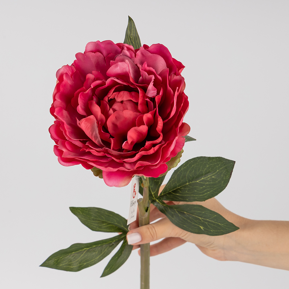 ФОТО КАРТИНКИ ЗОБРАЖЕННЯ Штучна півонія з ефектом живого дотику, темно-рожева, 67 см BOHODAR 2019-020 РОЗДРІБ ОПТ ГУРТ ГУРТОМ ОПТОМ! З ЄВРОПИ! ЯКІСТЬ! Купити Львів Характеристики Ціна Оплата Доставка "БОГОДАР" ІНТЕРНЕТ-МАГАЗИН Огляд Рейтинг Порівняння Як вибрати Якісний