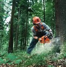 ФОТО КАРТИНКИ ЗОБРАЖЕННЯ Потужна бензинова ланцюгова пила Husqvarna 365 : Об'єм циліндра 65,1 cm³, потужність 3.4 кВт, шина 45 см, оригінал Швеція РОЗДРІБ ОПТ ГУРТ ГУРТОМ ОПТОМ! З ЄВРОПИ! ЯКІСТЬ! Купити Львів Характеристики Ціна Оплата Доставка "БОГОДАР" ІНТЕРНЕТ-МАГАЗИН Огляд Рейтинг Порівняння Як вибрати Якісний