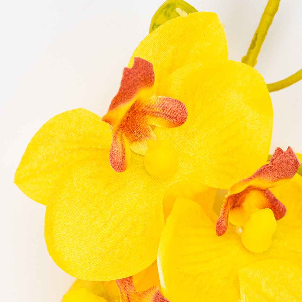 ФОТО КАРТИНКИ ЗОБРАЖЕННЯ Латексна орхідея, жовта, 72 см ВРЯТОВАНА ПОЗИЦІЯ BOHODAR 9259-137 РОЗДРІБ ОПТ ГУРТ ГУРТОМ ОПТОМ! З ЄВРОПИ! ЯКІСТЬ! Купити Львів Характеристики Ціна Оплата Доставка "БОГОДАР" ІНТЕРНЕТ-МАГАЗИН Огляд Рейтинг Порівняння Як вибрати Якісний