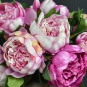 Піони штучні