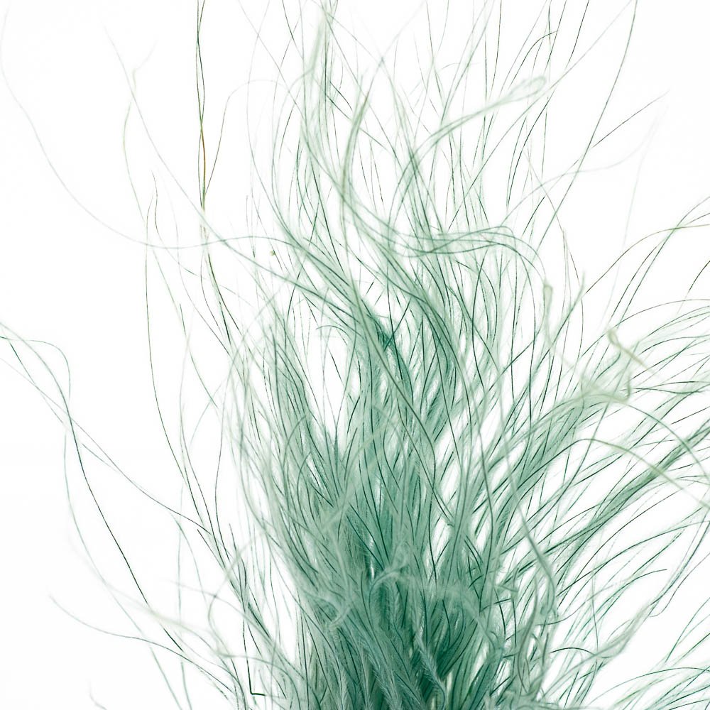 ФОТО КАРТИНКИ ЗОБРАЖЕННЯ Ковилаа Зелена, стабілізований BOHODAR 8213-031 РОЗДРІБ ОПТ ГУРТ ГУРТОМ ОПТОМ! З ЄВРОПИ! ЯКІСТЬ! Купити Львів Характеристики Ціна Оплата Доставка "БОГОДАР" ІНТЕРНЕТ-МАГАЗИН Огляд Рейтинг Порівняння Як вибрати Якісний