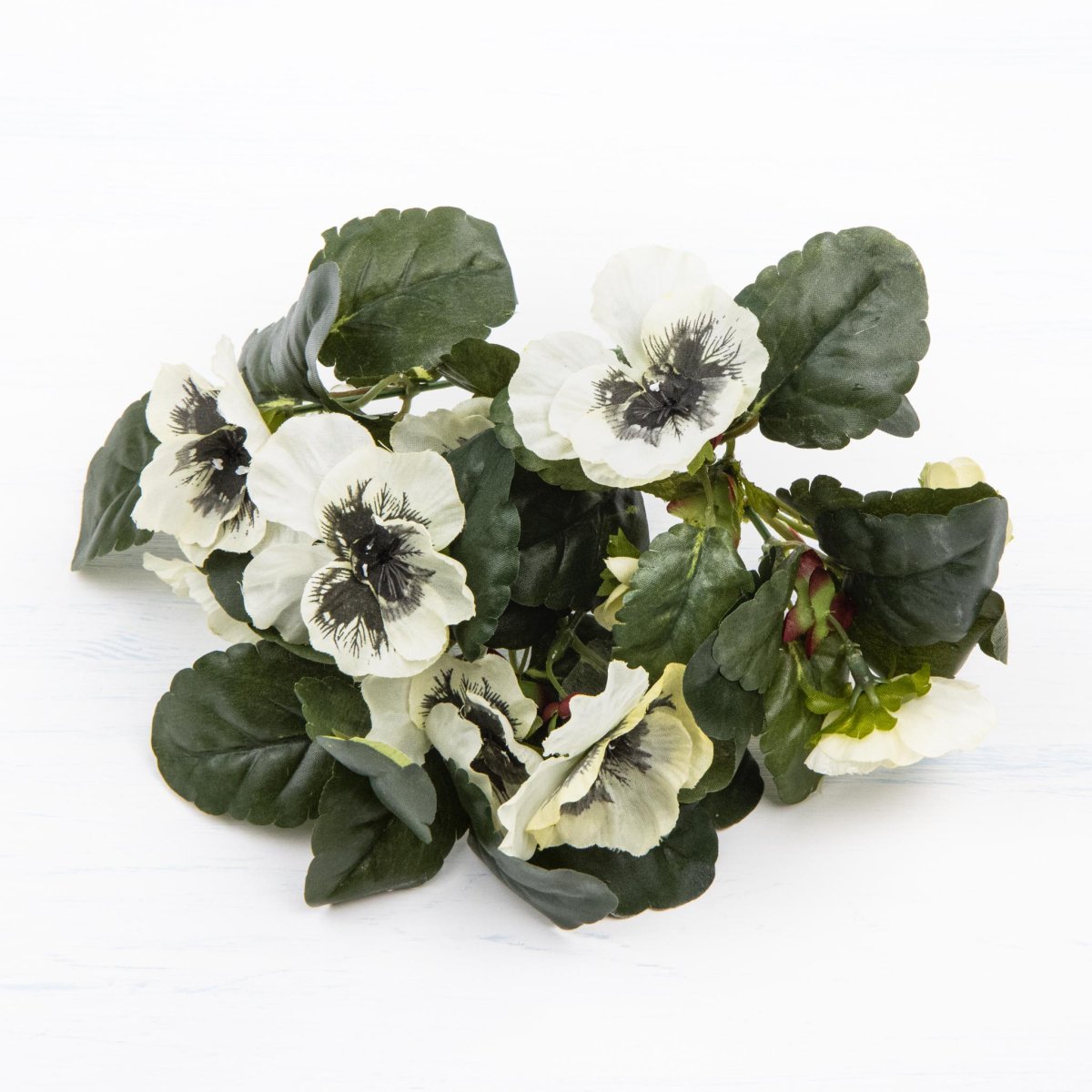 ФОТО КАРТИНКИ ЗОБРАЖЕННЯ Братки білі, 25 см BOHODAR 106F/white РОЗДРІБ ОПТ ГУРТ ГУРТОМ ОПТОМ! З ЄВРОПИ! ЯКІСТЬ! Купити Львів Характеристики Ціна Оплата Доставка "БОГОДАР" ІНТЕРНЕТ-МАГАЗИН Огляд Рейтинг Порівняння Як вибрати Якісний