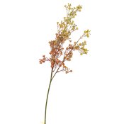 ФОТО КАРТИНКИ ЗОБРАЖЕННЯ Гілка сухоцвіту польового помаранчева BOHODAR 8100-005 РОЗДРІБ ОПТ ГУРТ ГУРТОМ ОПТОМ! З ЄВРОПИ! ЯКІСТЬ! Купити Львів Характеристики Ціна Оплата Доставка "БОГОДАР" ІНТЕРНЕТ-МАГАЗИН Огляд Рейтинг Порівняння Як вибрати Якісний