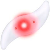 Велопідсвітки