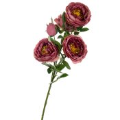 ФОТО КАРТИНКИ ЗОБРАЖЕННЯ Букет "Півонії польові", темно-рожевий BOHODAR 8114-006 РОЗДРІБ ОПТ ГУРТ ГУРТОМ ОПТОМ! З ЄВРОПИ! ЯКІСТЬ! Купити Львів Характеристики Ціна Оплата Доставка "БОГОДАР" ІНТЕРНЕТ-МАГАЗИН Огляд Рейтинг Порівняння Як вибрати Якісний