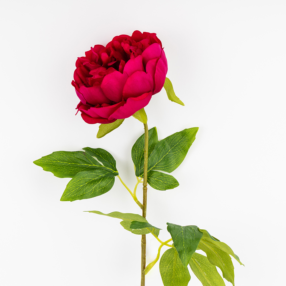 ФОТО КАРТИНКИ ЗОБРАЖЕННЯ Штучна півонія з ефектом живого дотику, рожева, 60 см BOHODAR 2025-008 РОЗДРІБ ОПТ ГУРТ ГУРТОМ ОПТОМ! З ЄВРОПИ! ЯКІСТЬ! Купити Львів Характеристики Ціна Оплата Доставка "БОГОДАР" ІНТЕРНЕТ-МАГАЗИН Огляд Рейтинг Порівняння Як вибрати Якісний