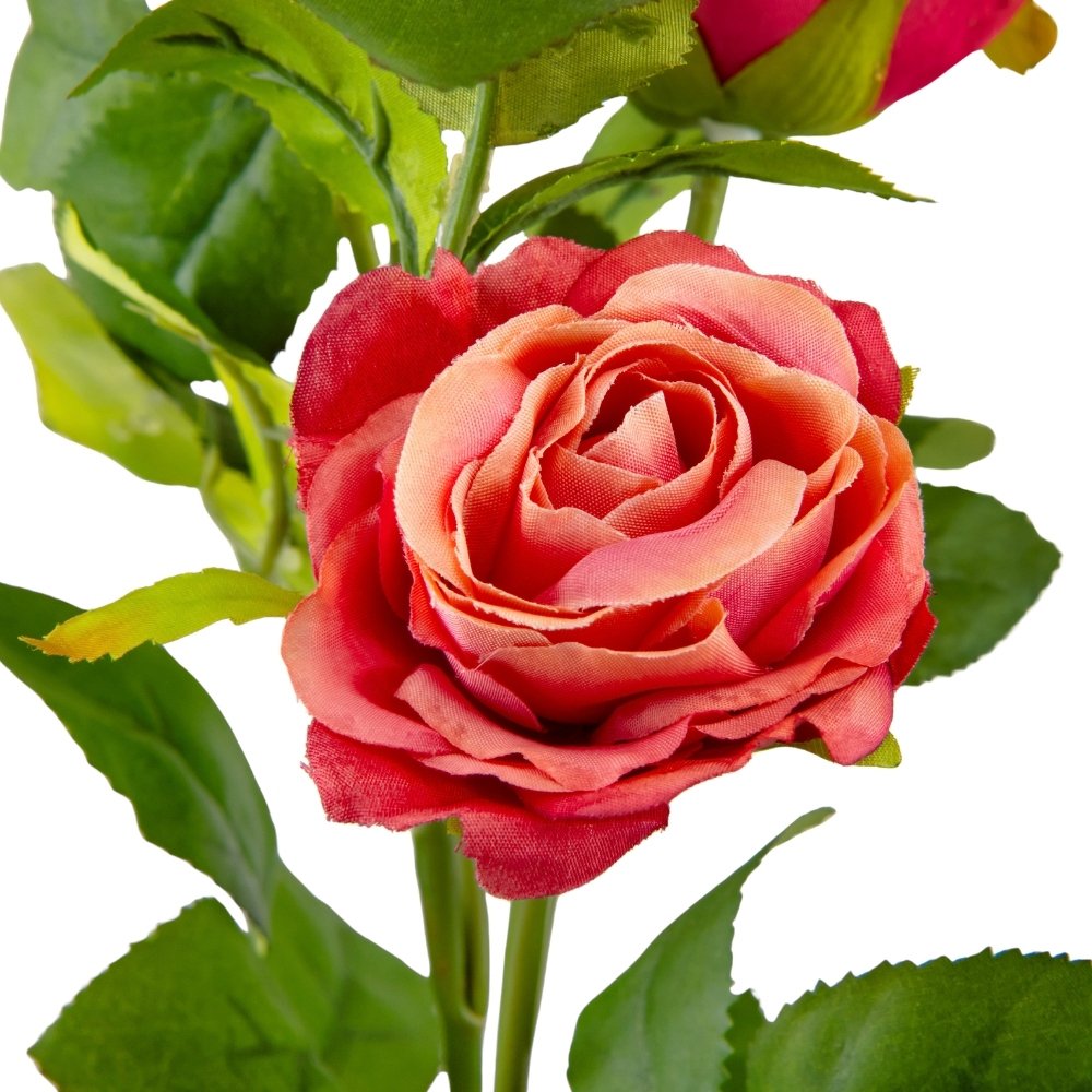 ФОТО КАРТИНКИ ЗОБРАЖЕННЯ Троянда "Габріель", рожева, 63 см BOHODAR 9023-044 РОЗДРІБ ОПТ ГУРТ ГУРТОМ ОПТОМ! З ЄВРОПИ! ЯКІСТЬ! Купити Львів Характеристики Ціна Оплата Доставка "БОГОДАР" ІНТЕРНЕТ-МАГАЗИН Огляд Рейтинг Порівняння Як вибрати Якісний