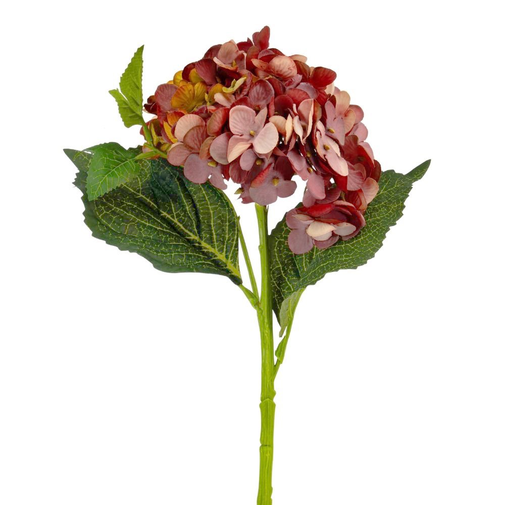 ФОТО КАРТИНКИ ЗОБРАЖЕННЯ Букет "Гортензія великолиста", бордова BOHODAR 8114-002 РОЗДРІБ ОПТ ГУРТ ГУРТОМ ОПТОМ! З ЄВРОПИ! ЯКІСТЬ! Купити Львів Характеристики Ціна Оплата Доставка "БОГОДАР" ІНТЕРНЕТ-МАГАЗИН Огляд Рейтинг Порівняння Як вибрати Якісний