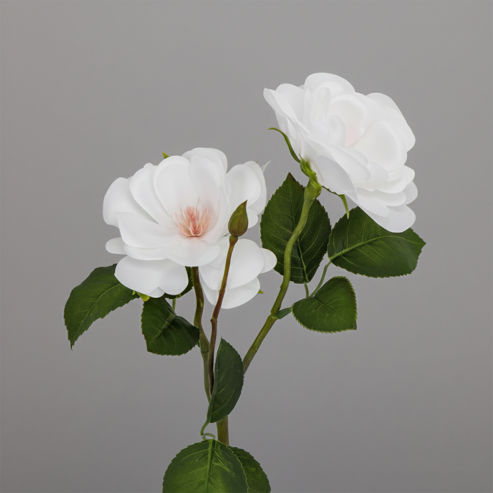 ФОТО КАРТИНКИ ЗОБРАЖЕННЯ Троянда штучна, біла, 55 см BOHODAR 2028-011/white РОЗДРІБ ОПТ ГУРТ ГУРТОМ ОПТОМ! З ЄВРОПИ! ЯКІСТЬ! Купити Львів Характеристики Ціна Оплата Доставка "БОГОДАР" ІНТЕРНЕТ-МАГАЗИН Огляд Рейтинг Порівняння Як вибрати Якісний