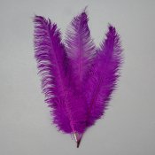 ФОТО КАРТИНКИ ЗОБРАЖЕННЯ Страусине перо 55 см фіолетовий BOHODAR 8501-001/purple РОЗДРІБ ОПТ ГУРТ ГУРТОМ ОПТОМ! З ЄВРОПИ! ЯКІСТЬ! Купити Львів Характеристики Ціна Оплата Доставка "БОГОДАР" ІНТЕРНЕТ-МАГАЗИН Огляд Рейтинг Порівняння Як вибрати Якісний
