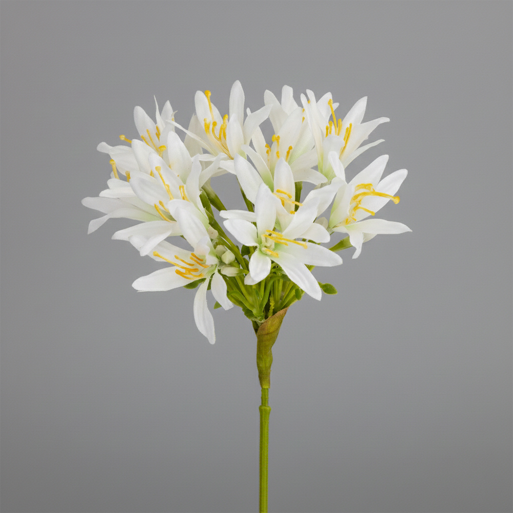 ФОТО КАРТИНКИ ЗОБРАЖЕННЯ Агапантус штучний, білий, 57 см BOHODAR 2028-018/white РОЗДРІБ ОПТ ГУРТ ГУРТОМ ОПТОМ! З ЄВРОПИ! ЯКІСТЬ! Купити Львів Характеристики Ціна Оплата Доставка "БОГОДАР" ІНТЕРНЕТ-МАГАЗИН Огляд Рейтинг Порівняння Як вибрати Якісний