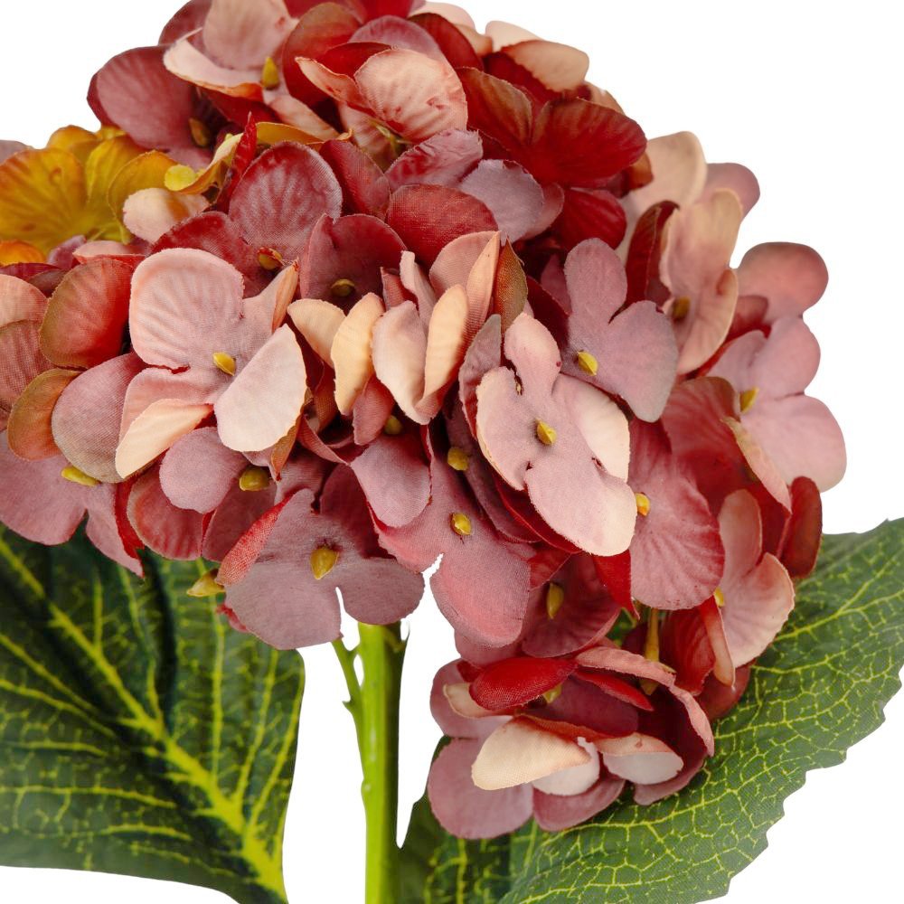 ФОТО КАРТИНКИ ЗОБРАЖЕННЯ Букет "Гортензія великолиста", бордова BOHODAR 8114-002 РОЗДРІБ ОПТ ГУРТ ГУРТОМ ОПТОМ! З ЄВРОПИ! ЯКІСТЬ! Купити Львів Характеристики Ціна Оплата Доставка "БОГОДАР" ІНТЕРНЕТ-МАГАЗИН Огляд Рейтинг Порівняння Як вибрати Якісний