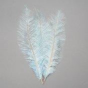 ФОТО КАРТИНКИ ЗОБРАЖЕННЯ Страусине перо 55 см світло-блакитний BOHODAR 8501-001/light-blue РОЗДРІБ ОПТ ГУРТ ГУРТОМ ОПТОМ! З ЄВРОПИ! ЯКІСТЬ! Купити Львів Характеристики Ціна Оплата Доставка "БОГОДАР" ІНТЕРНЕТ-МАГАЗИН Огляд Рейтинг Порівняння Як вибрати Якісний