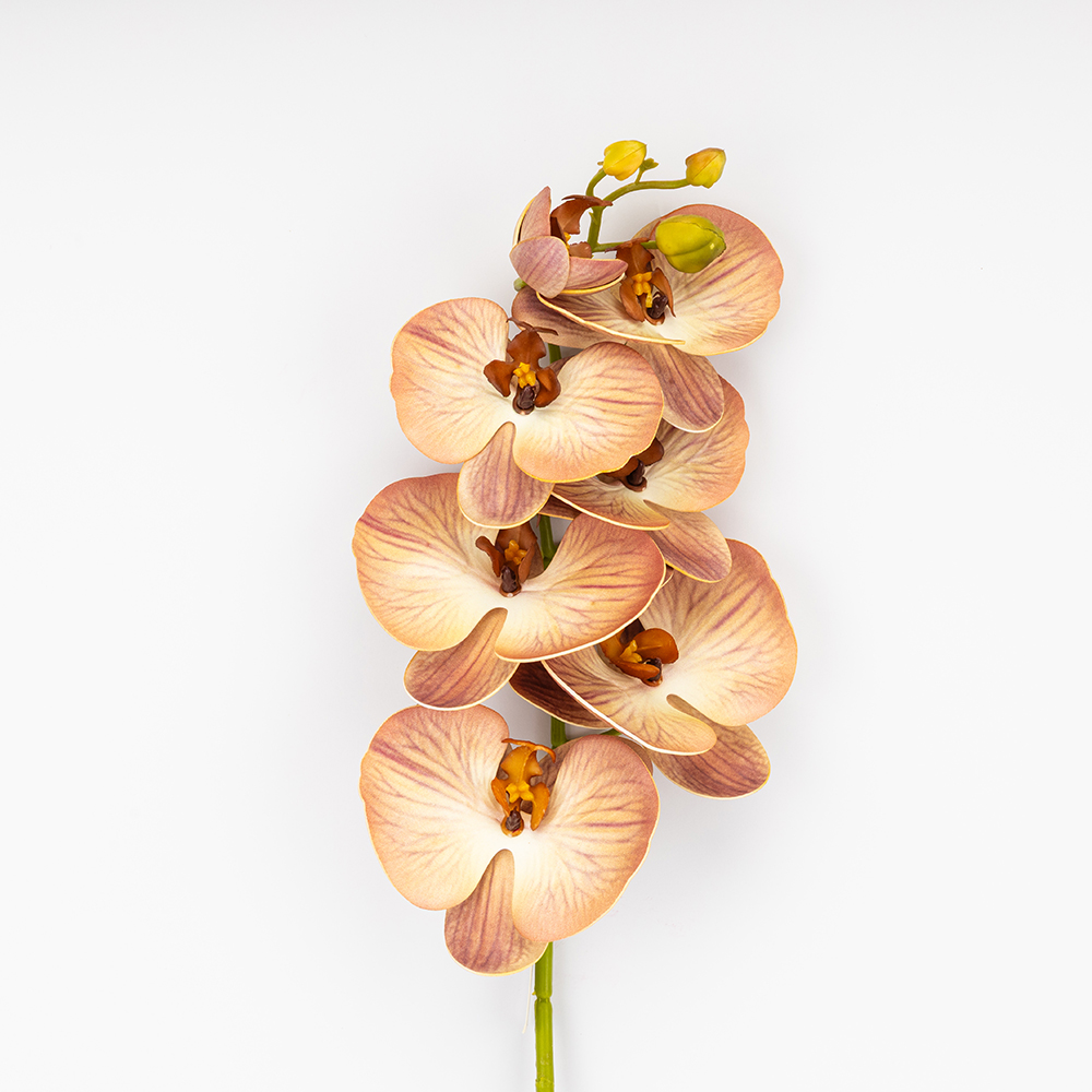 ФОТО КАРТИНКИ ЗОБРАЖЕННЯ Латексна орхідея, кремово-рожева, 76 см ВРЯТОВАНА ПОЗИЦІЯ BOHODAR 9259-086 РОЗДРІБ ОПТ ГУРТ ГУРТОМ ОПТОМ! З ЄВРОПИ! ЯКІСТЬ! Купити Львів Характеристики Ціна Оплата Доставка "БОГОДАР" ІНТЕРНЕТ-МАГАЗИН Огляд Рейтинг Порівняння Як вибрати Якісний