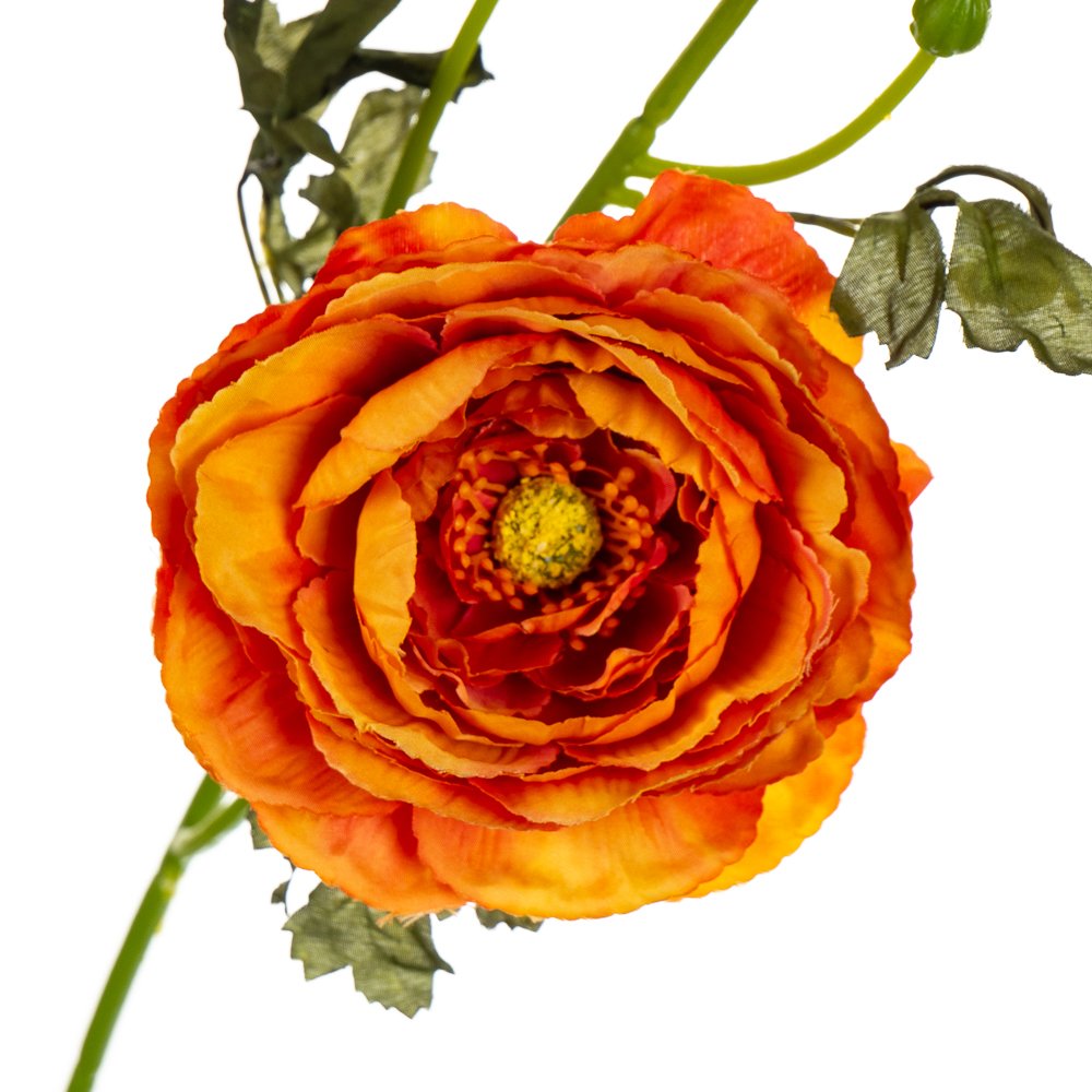 ФОТО КАРТИНКИ ЗОБРАЖЕННЯ Букет штучний "Ранункулюс", помаранчевий BOHODAR 8114-021 РОЗДРІБ ОПТ ГУРТ ГУРТОМ ОПТОМ! З ЄВРОПИ! ЯКІСТЬ! Купити Львів Характеристики Ціна Оплата Доставка "БОГОДАР" ІНТЕРНЕТ-МАГАЗИН Огляд Рейтинг Порівняння Як вибрати Якісний